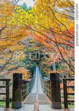 Hananuki Valley in Ibaraki Prefecture, ablaze with autumn colors. Hananuki Valley in Ibaraki Prefecture, ablaze with autumn colors. 140493384