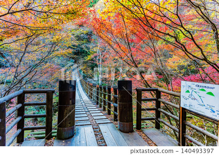 Hananuki Valley in Ibaraki Prefecture, ablaze with autumn colors. 140493397