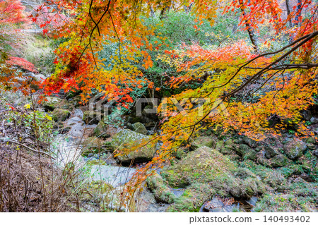 Hananuki Valley in Ibaraki Prefecture, ablaze with autumn colors. Hananuki Valley in Ibaraki Prefecture, ablaze with autumn colors. 140493402