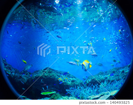 透過魚眼鏡頭看藍色海洋的世界 透過魚眼鏡頭看藍色海洋的世界 140493825