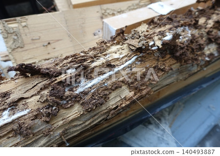 房屋的柱子被白蟻蛀蝕 140493887