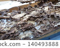 Pillars of a house damaged by termites 140493888