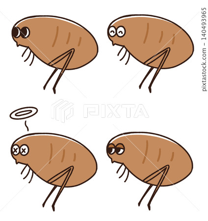 Illustration of flea Illustration of flea 140493965