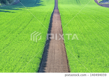 Neatly maintained farmland and field paths (image of a path) 140494039