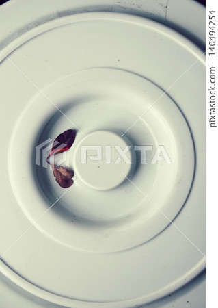 Plastic bucket lid Plastic bucket lid 140494254