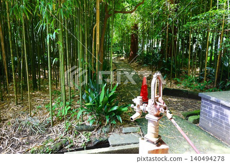 A view of the bamboo grove within the grounds of Jochi-ji Temple in Kamakura. A view of the bamboo grove within the grounds of Jochi-ji Temple in Kamakura. 140494278