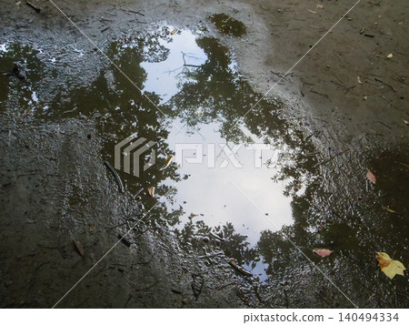The sky and trees reflected in a puddle The sky and trees reflected in a puddle 140494334