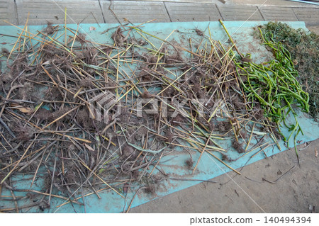 arid, dry, sun drying 140494394