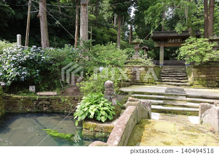 A scene of hydrangeas in bloom at Jochi-ji Temple in Kamakura. A scene of hydrangeas in bloom at Jochi-ji Temple in Kamakura. 140494518