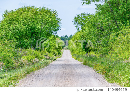 一條筆直的土路(泥土路),背景模糊。 一條筆直的土路(泥土路),背景模糊。 140494659