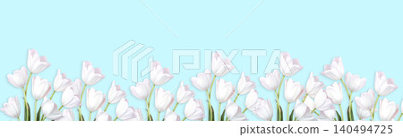 Spring Tulips Banner with copy space Spring Tulips Banner with copy space 140494725
