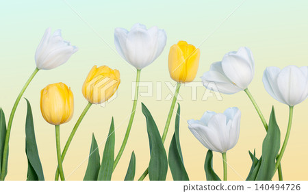 Easter Tulips and Painted Eggs on Blue Background Easter Tulips and Painted Eggs on Blue Background 140494726
