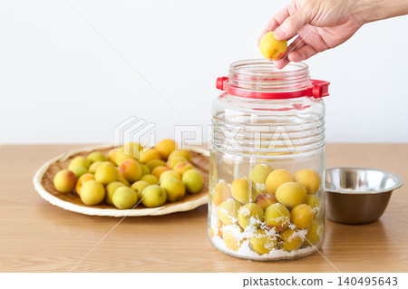 Making pickled plums: Pickling ripe plums in a jar. Making pickled plums: Pickling ripe plums in a jar. 140495643