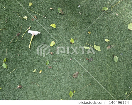 texture of the soil 140496354