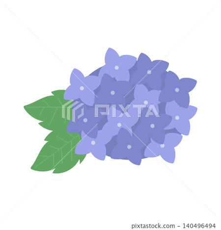 Hydrangea (single flower, blue) Hydrangea (single flower, blue) 140496494