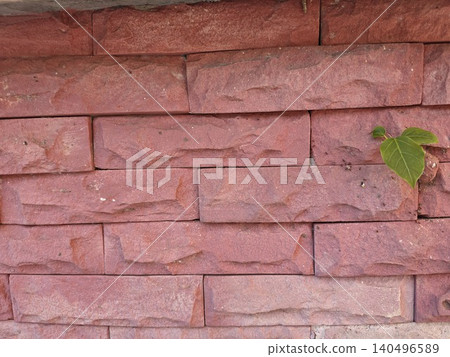 old brick wall with a tree 140496589