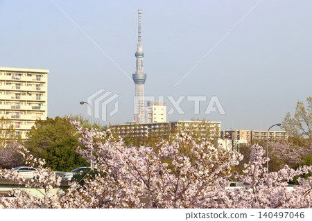 春天東京天空樹 春天東京天空樹 140497046