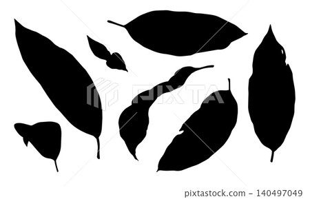 Vector Sanchezia plant tropical leaves silhouette set. Hand drawn black leaf and botanical element with decorative shape. Flora design for logo icon template. Natural clipart collection for stamp art. Vector Sanchezia plant tropical leaves silhouette set. Hand drawn black leaf and botanical element with decorative shape. Flora design for logo icon template. Natural clipart collection for stamp art. 140497049