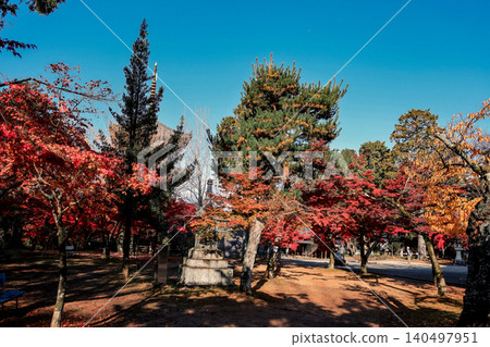 Autumn Colors Surround Zen Garden at Shinsho Gokuraku ji Nov 26 2025 Autumn Colors Surround Zen Garden at Shinsho Gokuraku ji Nov 26 2025 140497951