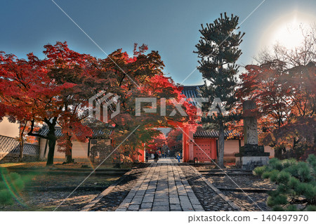 Stone Steps Framed by Red Maples in Kyoto Temple Nov 26 2025 Stone Steps Framed by Red Maples in Kyoto Temple Nov 26 2025 140497970