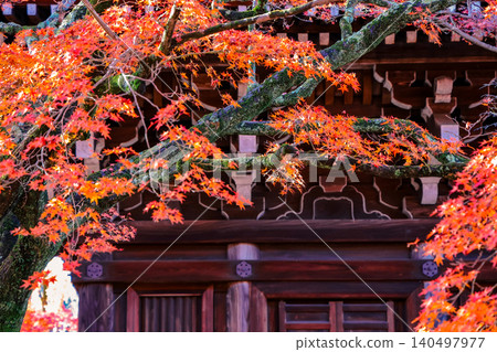 Historic Main Hall of Shinnyodo Temple in Kyoto Nov 26 2025 140497977