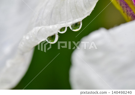 Shining water drops Shining water drops 140498240
