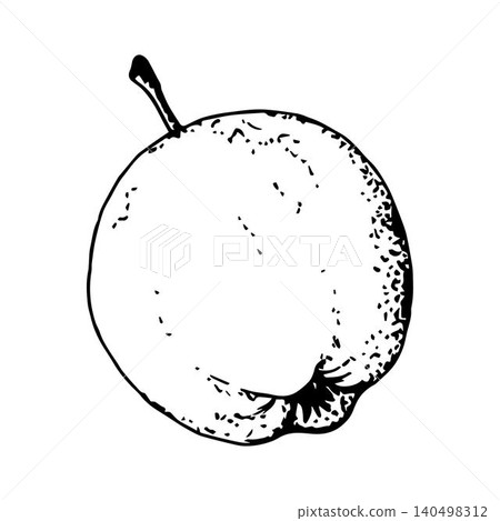 Hand-drawn simple vector sketch with black outline. Fruit apple. Vitamin juice. Organic product, garden, label, sticker, coloring. Ink drawing. 140498312