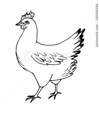 Hand-drawn simple vector sketch with black outline. Poultry, chicken, laying hen, farming, animal. Organic farm, label, coloring. Ink drawing. Hand-drawn simple vector sketch with black outline. Poultry, chicken, laying hen, farming, animal. Organic farm, label, coloring. Ink drawing. 140498398