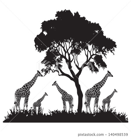 African Giraffe Family Under Acacia Tree Silhouette African Giraffe Family Under Acacia Tree Silhouette 140498539