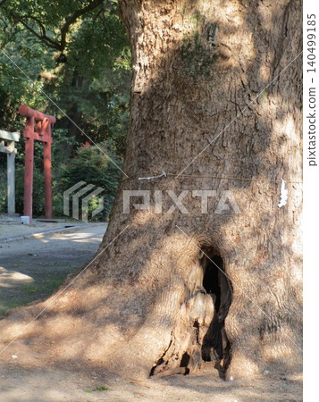 2014年,香川縣,觀音寺,八幡宮,風景,神社,琴引八幡宮,第169部 2014年,香川縣,觀音寺,八幡宮,風景,神社,琴引八幡宮,第169部 140499185