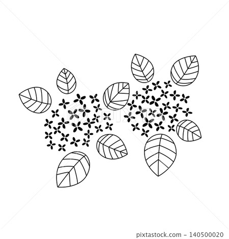 Simple hydrangea line drawing illustration 140500020