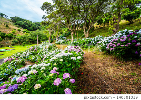 Nagasaki's Mozaki Dinosaur Park & Hydrangea Hill Hydrangea Festival [Nagasaki City] 140501019