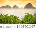 Beach cabbage or Sea lettuce with Blurry sunset view of tropical island and sea behind 140501147