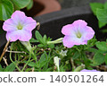 Pink flowers 140501264