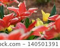Red and yellow flowers 140501391