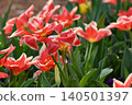 Red flower	 140501397