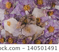 Experimental frozen flowers with artistic concept 140501491