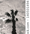 beautiful palm tree and  cloudy sky background 140501494