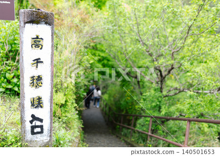 Miyazaki Prefecture: Entrance to Takachihokyo Gorge in the fresh greenery. Miyazaki Prefecture: Entrance to Takachihokyo Gorge in the fresh greenery. 140501653