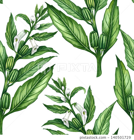 Seamless pattern with green sesame stalks with leaves, pods, and flowers. Hand-drawn watercolor illustration. For kitchen decor, textiles, wallpaper, product labels, wrapping paper, menus, and more. Seamless pattern with green sesame stalks with leaves, pods, and flowers. Hand-drawn watercolor illustration. For kitchen decor, textiles, wallpaper, product labels, wrapping paper, menus, and more. 140501729