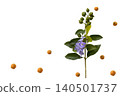 purple little flowers arrangement flat lay postcard style 140501737
