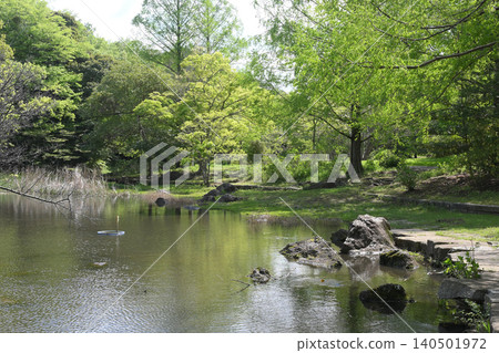 By the pond, Izumiya Park, Midori Ward, Chiba City 140501972