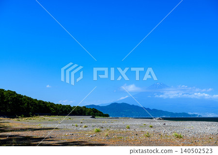 靜岡縣三保松原松林上空晴空萬裡,遠處是富士山。 靜岡縣三保松原松林上空晴空萬裡,遠處是富士山。 140502523
