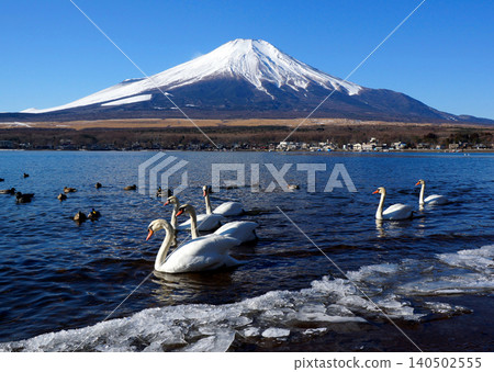 山中湖在冬天 山中湖在冬天 140502555