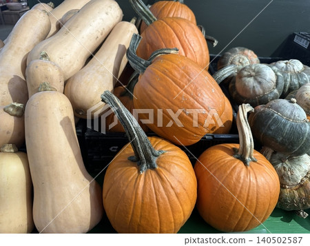 Fresh green pumpkin with smooth, vibrant skin and a firm texture. This versatile vegetable is perfect for soups, stir-fries, or roasting, offering a mildly sweet and nutty flavor. 140502587
