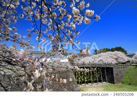 Cherry blossoms in Yamagata Prefecture... Kajo Park 140503206