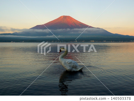 Sunrise over Mount Fuji and swans Sunrise over Mount Fuji and swans 140503378