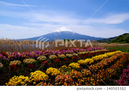 花和富士 花和富士 140503382