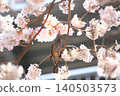 櫻花和野鳥 140503573