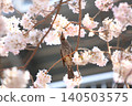 櫻花和野鳥 140503575